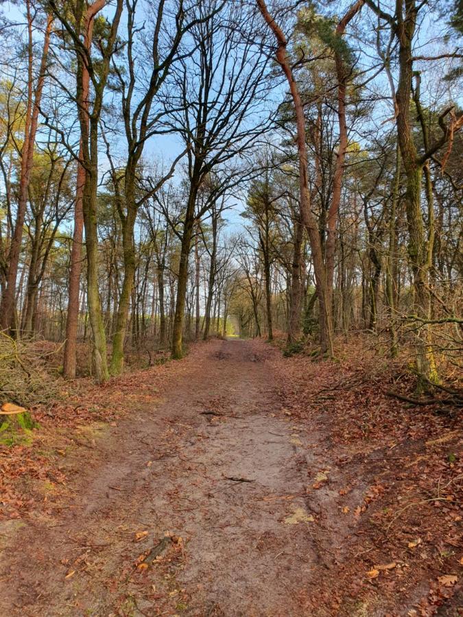 B&B De Nieuwenhof 'De Voorkamer' Melderslo Екстериор снимка