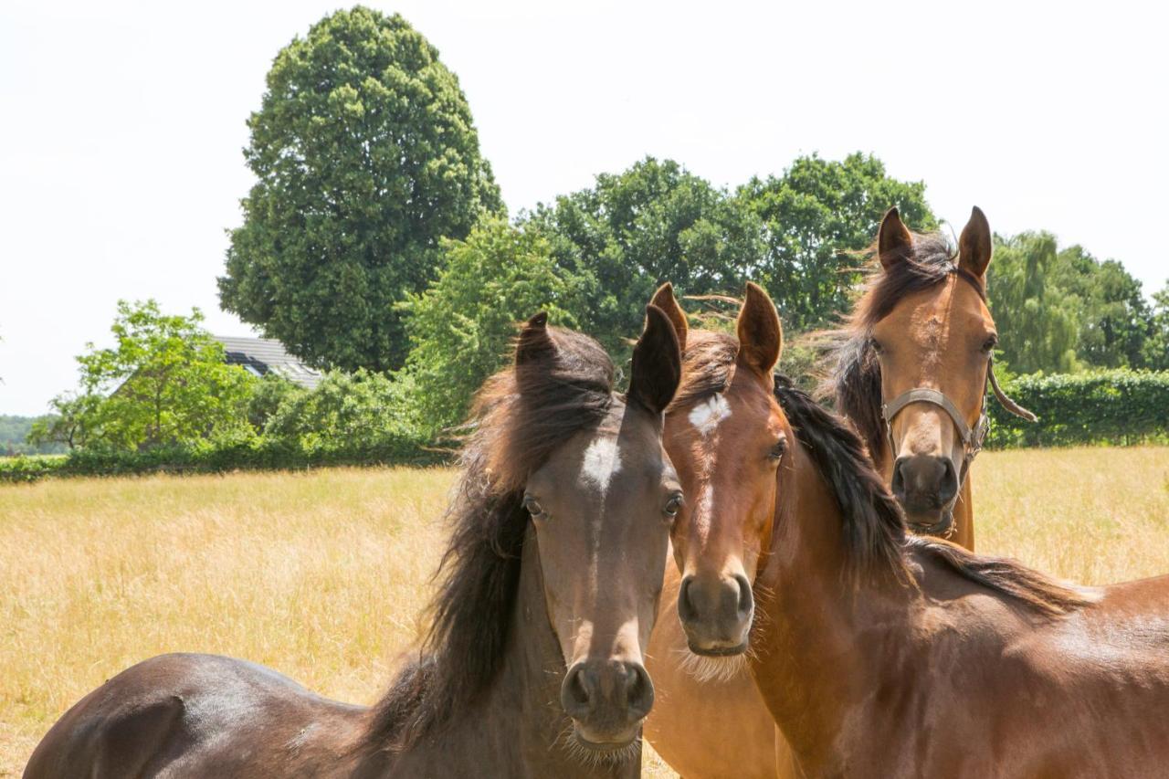 B&B De Nieuwenhof 'De Voorkamer' Melderslo Екстериор снимка